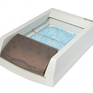 Scoopfree Zelfreinigende Kattenbak