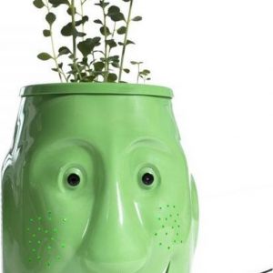 Zora Robot Billy Billy