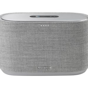 Harman Kardon Citation 300 Grijs