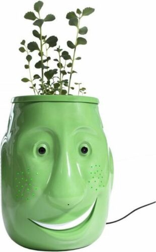 Zora Robot Billy Billy